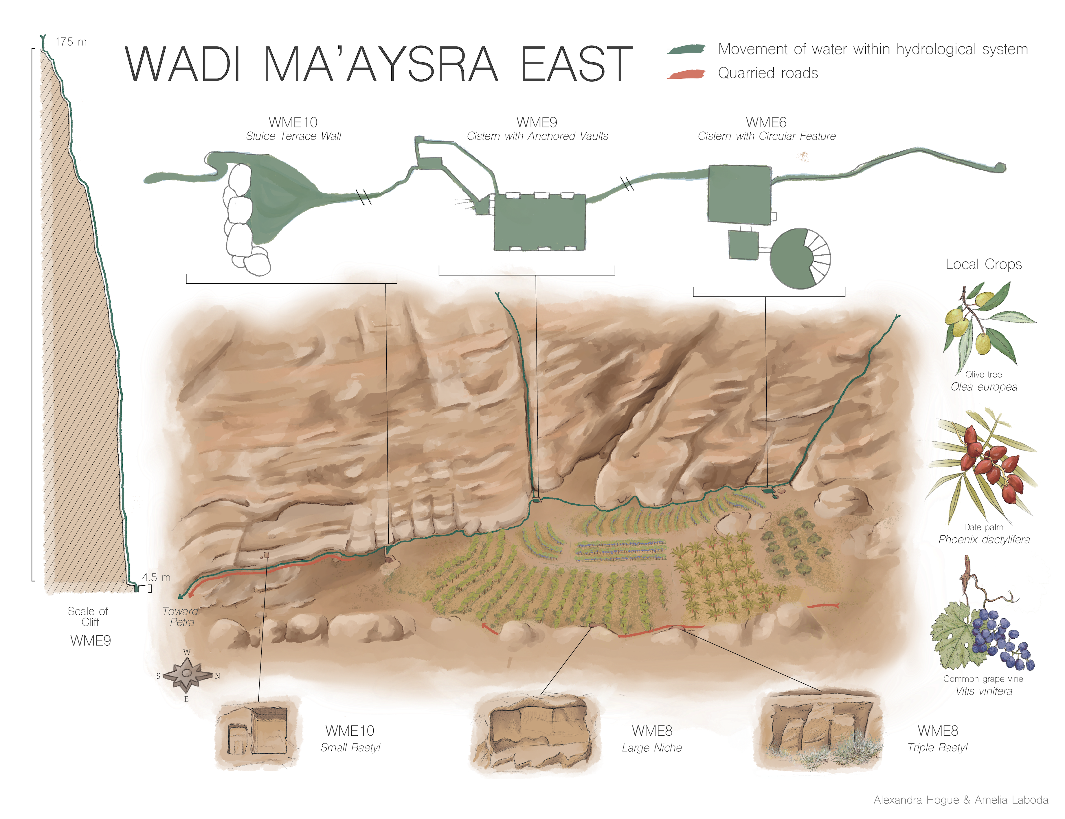 final petra archaeological illustration