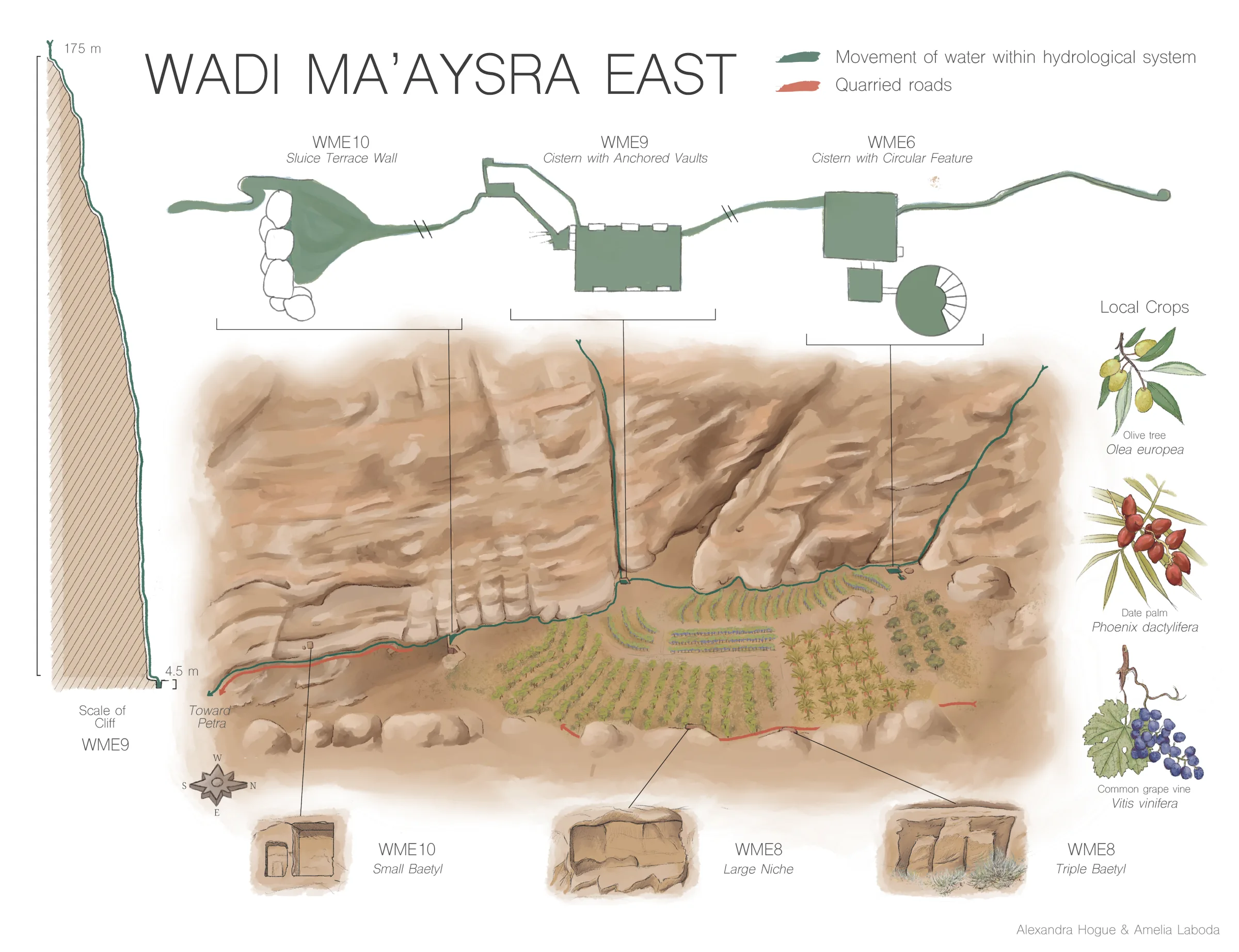 final petra archaeological illustration